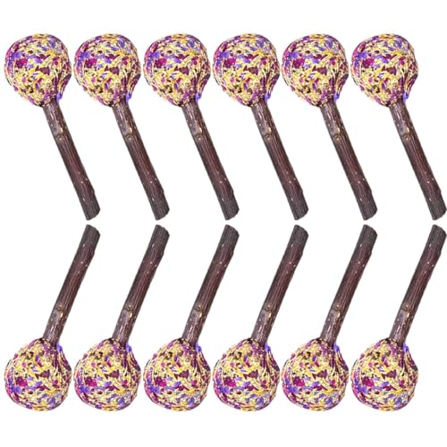Kapmore Natürliche Bio-Holz-Rabbiner-Lutscher-Form, bissfest, Grasstab, 12 Leckereien, Kätzchen, Hamster, Kauen Kapmore Natürliche Bio-Holz-Rabbiner-Lutscher-Form, bissfest, Grasstab, 12 Leckereien, Kätzchen, Hamster, Kauen von Kapmore