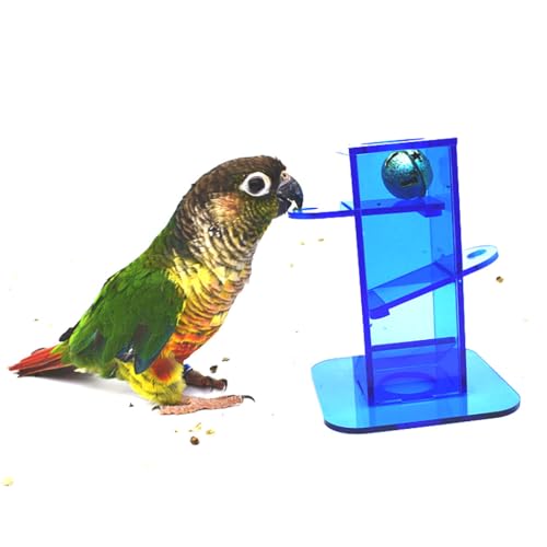 Kapmore Pädagogisches Puzzle-Spielzeug Papagei: Acrylglocke Trick Vogel-Trainingsspielzeug von Kapmore