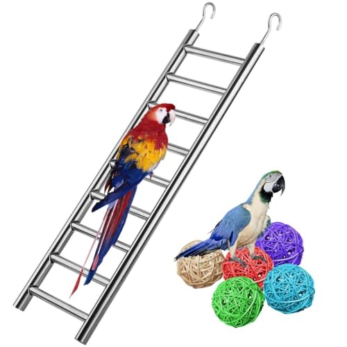 Kapmore Papageienleiter aus Edelstahl mit 5 bunten Rattan-Kugeln – 9 Stufen, Vogel-Trainingsspielzeug für Käfige von Kapmore
