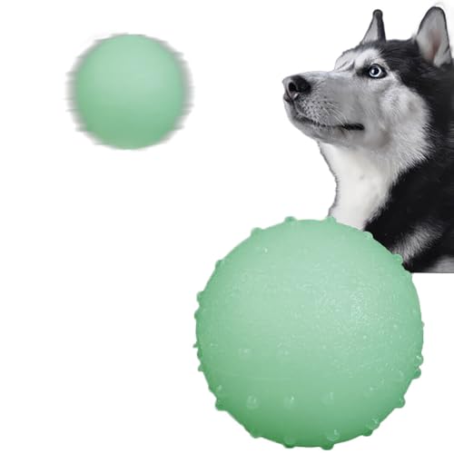 Kapmore TPR Hüpfball für Kätzchen, Welpentraining, Spielzeug für Hunde, Beißball, lustiges leuchtendes Gummi von Kapmore