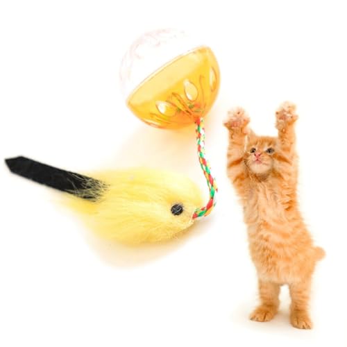Kapmore Vogel Kunststoff Ball Katze Gefälschte Lustige Tragbare Feder Interaktives Spielzeug für Haustier Wiederverwendbare Glocke Indoor 1 Dental Kunststoff von Kapmore