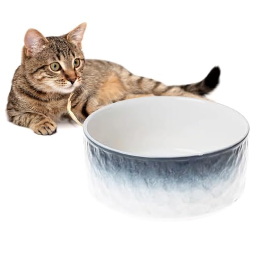 Mittelgroßer Keramiknapf für modische Haustiere – rutschfester und auslaufsicherer Futternapf, waschbar und rundes Design von Kapmore