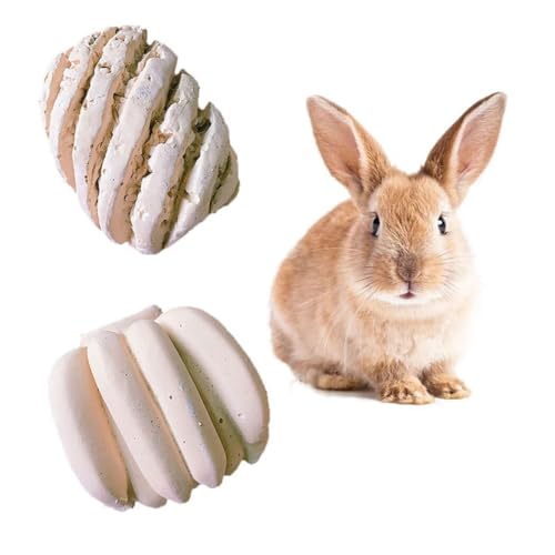 Natürliches Kauspielzeug für Kleintiere, wiederverwendbar, beruhigendes Kalzium, Obstform, Hamster-Schleifsteine, 2 Stück von Kapmore