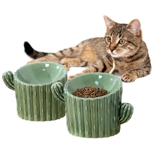 Tragbarer und rutschfester Keramik-Futternapf für Trocken-/Nassfutter, auslaufsicher, erhöhter Kaktus-, Katzen- und Hunde-Mahlzeitenapf für die Küche von Kapmore