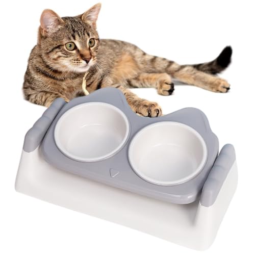 Universal Haushalt Einfache Haustier Futternapf Neigbar Hundenapf Doppel Katzennapf Welpen Kätzchen Rassen von Kapmore