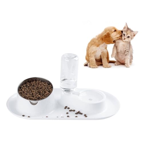 Universal geneigter No-Spill Napf mit automatischem Wasserspender für den Haushalt, Dual Pet Food Bowl Waschbar für Katzen von Kapmore