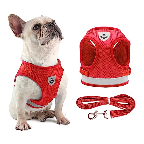 Hundegeschirr und Leine Set Reflektierende verstellbare Netzweste für kleine Hunde Welpen Katzen Hundegeschirr und Leine Set Reflektierende verstellbare Netzweste für kleine Hunde Welpen Katzen von Karlak