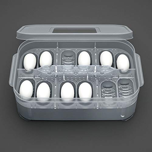 Reptile Egg Tray Reptile Egg Box Reptilienzuchtbox Reptilieninkubationsbox Geeignet zum Schlüpfen von Reptilien aus Schlangenechsen Reptile Egg Tray Reptile Egg Box Reptilienzuchtbox Reptilieninkubationsbox Geeignet zum Schlüpfen von Reptilien aus Schlangenechsen von Karlak