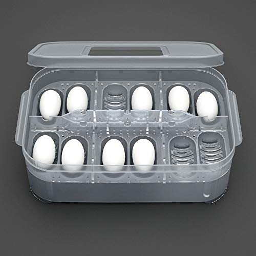 Reptile Egg Tray Reptile Egg Box Reptilienzuchtbox Reptilieninkubationsbox Geeignet zum Schlüpfen von Reptilien aus Schlangenechsen von Karlak