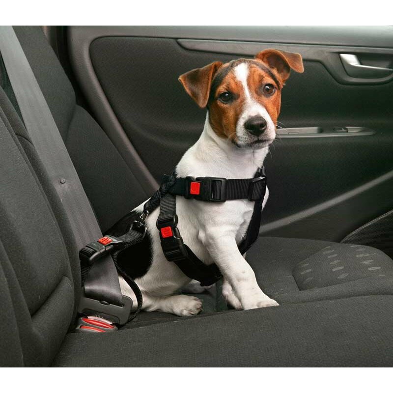 Auto-Sicherheitsgeschirr / Hundegurt - L von Karlie