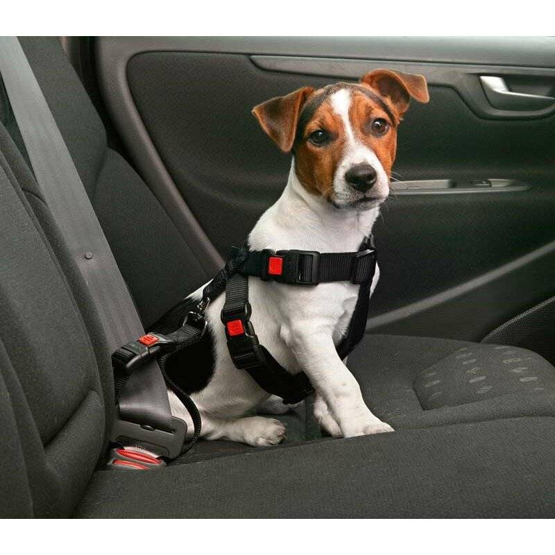 Auto-Sicherheitsgeschirr / Hundegurt - M von Karlie