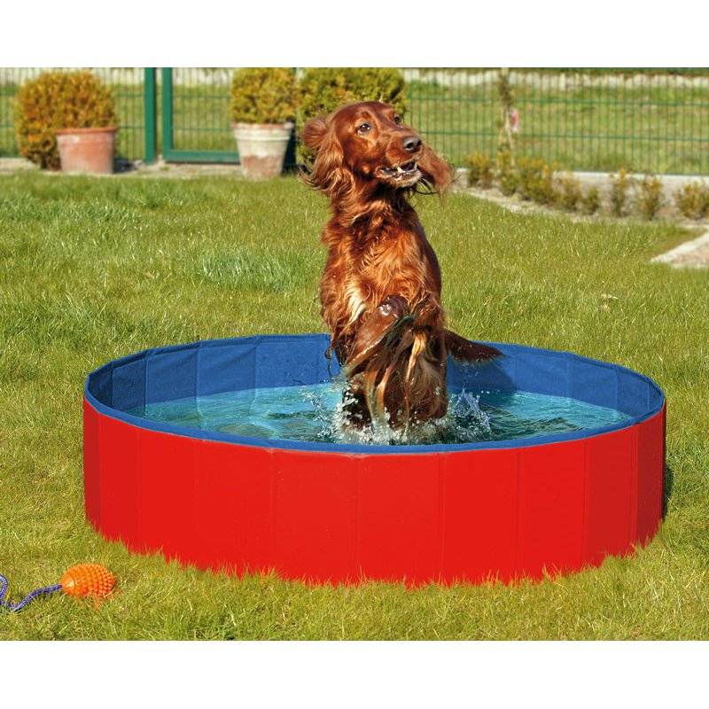 Doggy Pool - 20 x 80 cm von Karlie