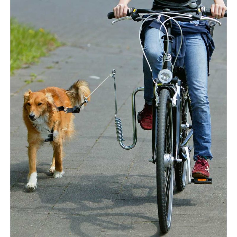 Fahrrad-F�hrhalter Doggy Guide von Karlie
