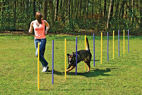 Karlie 31855 Agility Slalom gelb-blau Karlie 31855 Agility Slalom gelb-blau von Karlie