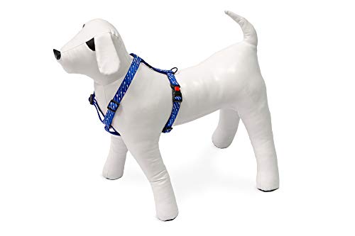 Karlie Art Sportiv Plus Geschirr mit gedrucktem Motiv Mix and Match B: 10 mm Br um: 25 - 40 cm Arrow Karlie Art Sportiv Plus Geschirr mit gedrucktem Motiv Mix and Match B: 10 mm Br um: 25 - 40 cm Arrow von Karlie