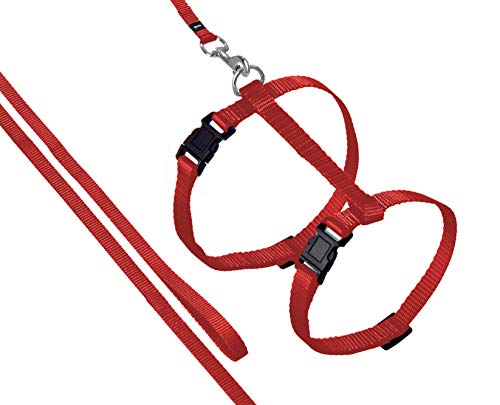 Karlie Art Sportiv Plus Geschirr und Leine L: 110 cm rot Karlie Art Sportiv Plus Geschirr und Leine L: 110 cm rot von Karlie