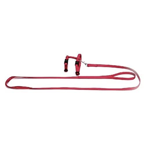 Karlie Art Sportiv Plus Kaninchengeschirr und -Leine L: 140 cm B: 10 mm rot Karlie Art Sportiv Plus Kaninchengeschirr und -Leine L: 140 cm B: 10 mm rot von Karlie