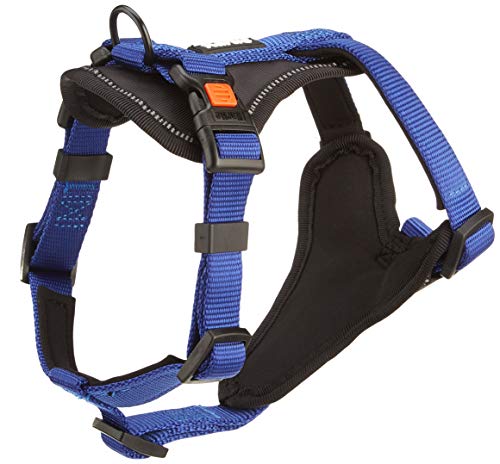 Karlie Art Sportiv Premium Y-Geschirr, Hundegeschirre, Nylon, Blau, 45-57x2 cm Karlie Art Sportiv Premium Y-Geschirr, Hundegeschirre, Nylon, Blau, 45-57x2 cm von Karlie