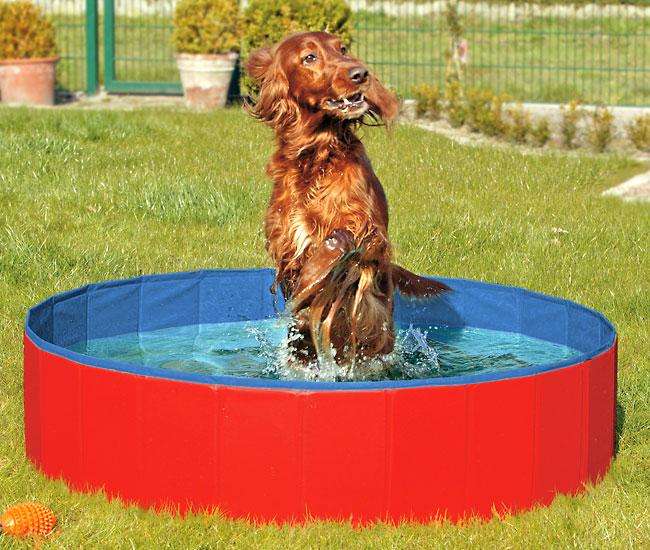 Karlie DOGGY POOL der Swimmingpool für Hunde - Rot-Blau - 120 cm von Karlie