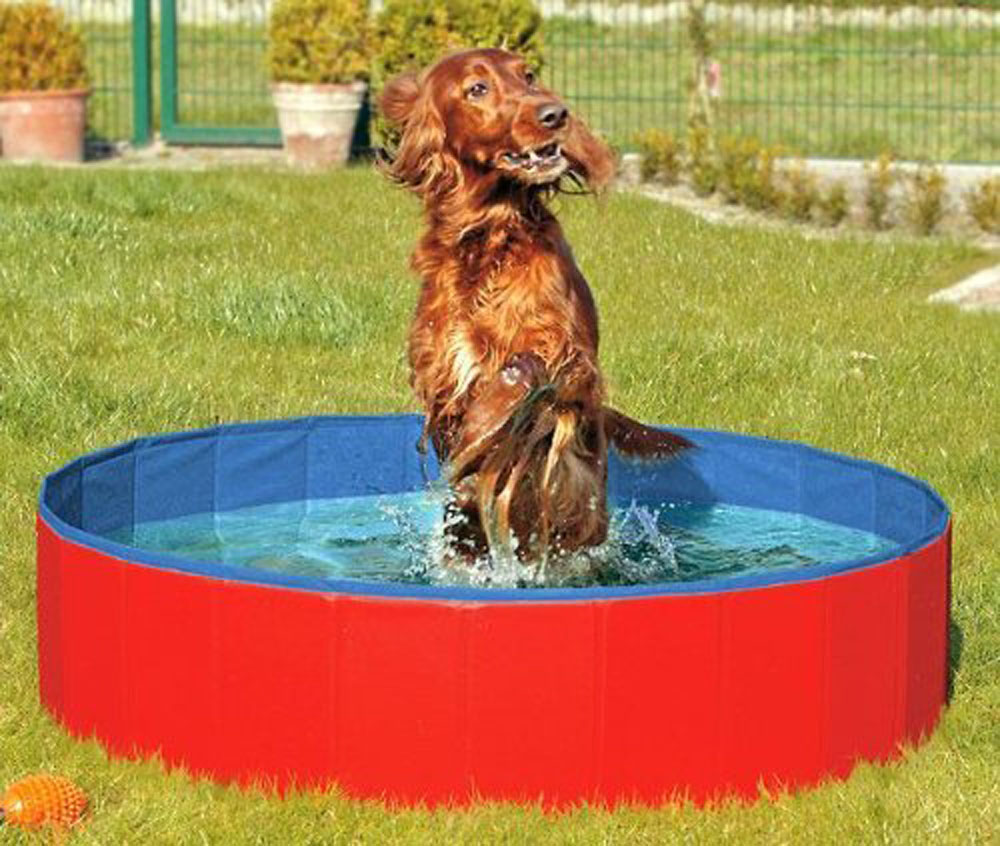 Karlie DOGGY POOL der Swimmingpool für Hunde - Rot-Blau - 160 cm von Karlie
