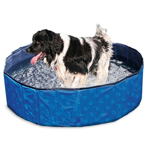 Karlie Flamingo DOGGY POOL Swimmingpool für Hunde - Blau gemustert - 120 cm Karlie Flamingo DOGGY POOL Swimmingpool für Hunde - Blau gemustert - 120 cm von Karlie