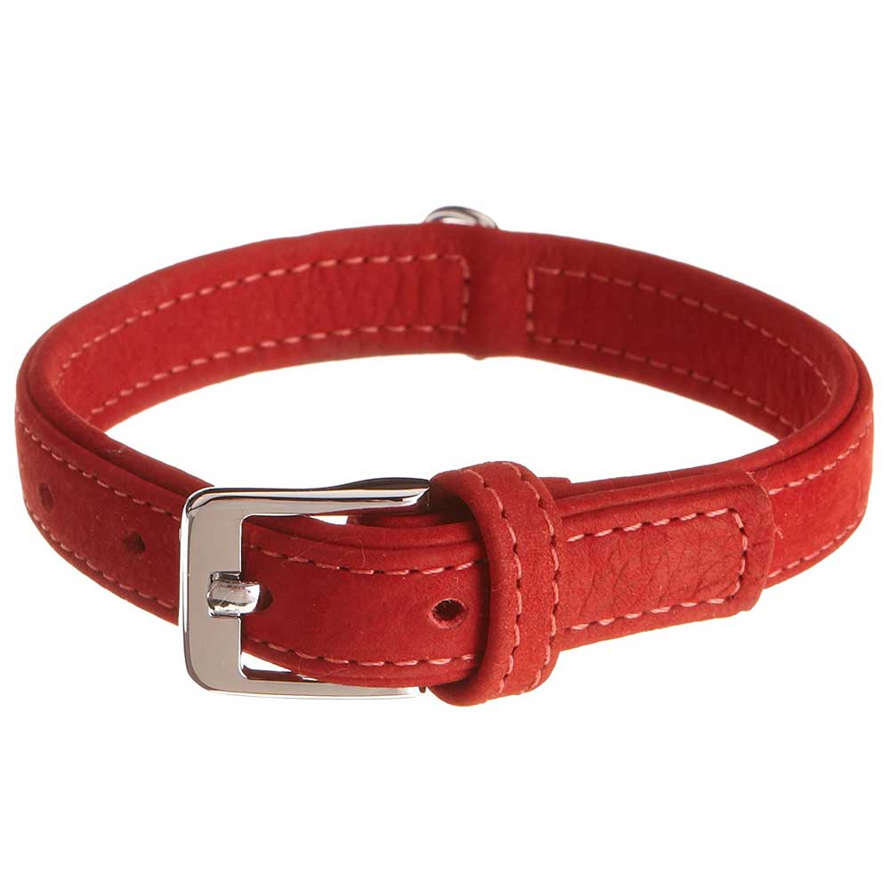 Karlie Halsband Buffalo aus Kalbsleder - Rot - 65 cm/40 mm Karlie Halsband Buffalo aus Kalbsleder - Rot - 65 cm/40 mm von Karlie
