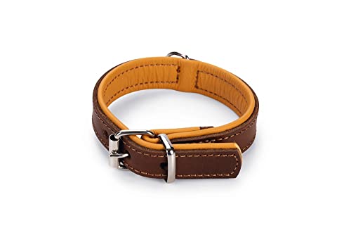 Karlie Halsband Rondo, breit L: 32 cm B: 22 mm braun Karlie Halsband Rondo, breit L: 32 cm B: 22 mm braun von Karlie