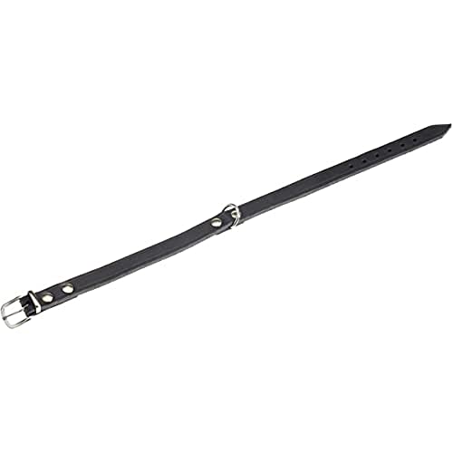 Karlie Halsband Rondo, genietet L: 37 cm B: 12 mm schwarz von Karlie