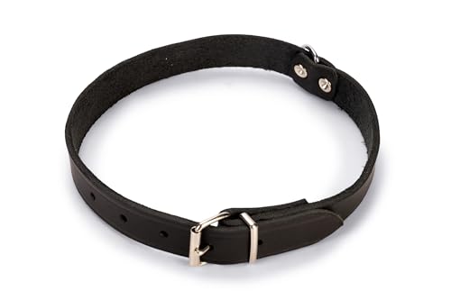 Karlie Halsband Rondo, genietet L: 62 cm B: 25 mm schwarz von Karlie