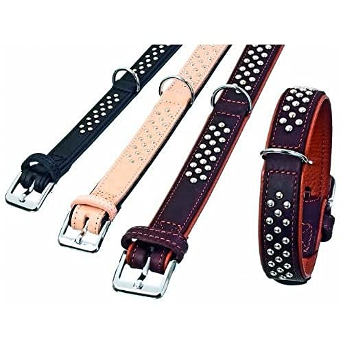Karlie Halsband Rondo mit Rundkopfnieten L: 52 cm B: 30 mm braun Karlie Halsband Rondo mit Rundkopfnieten L: 52 cm B: 30 mm braun von Karlie