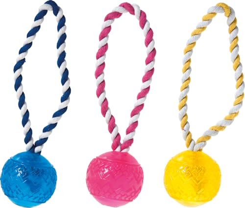 Karlie Hundespielzeug TPR Ball mit Seil ø: 6 cm farblich sortiert Karlie Hundespielzeug TPR Ball mit Seil ø: 6 cm farblich sortiert von Karlie
