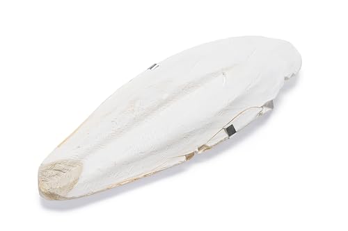 Karlie Sepiaschale - Schnabelpflege Vogel - 23 cm von Karlie