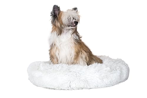 Karlie Liegebett Rund Agnes L: 58.5 cm H: 14 cm weiss Karlie Liegebett Rund Agnes L: 58.5 cm H: 14 cm weiss von Karlie