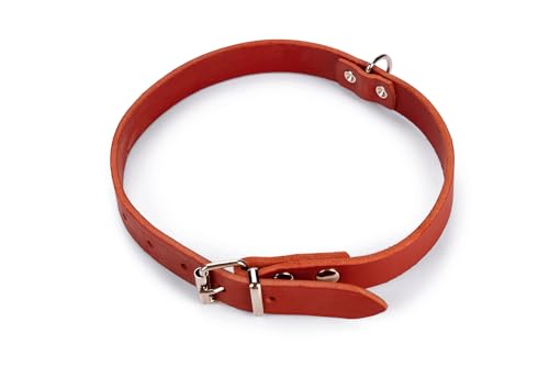 Karlie Halsband Rondo, genietet L: 57 cm B: 20 mm rot von Karlie