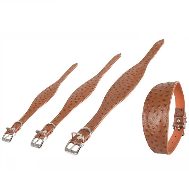 Karlie Windhund-Halsband Ventus - 50cm / Braun Karlie Windhund-Halsband Ventus - 50cm / Braun von Karlie