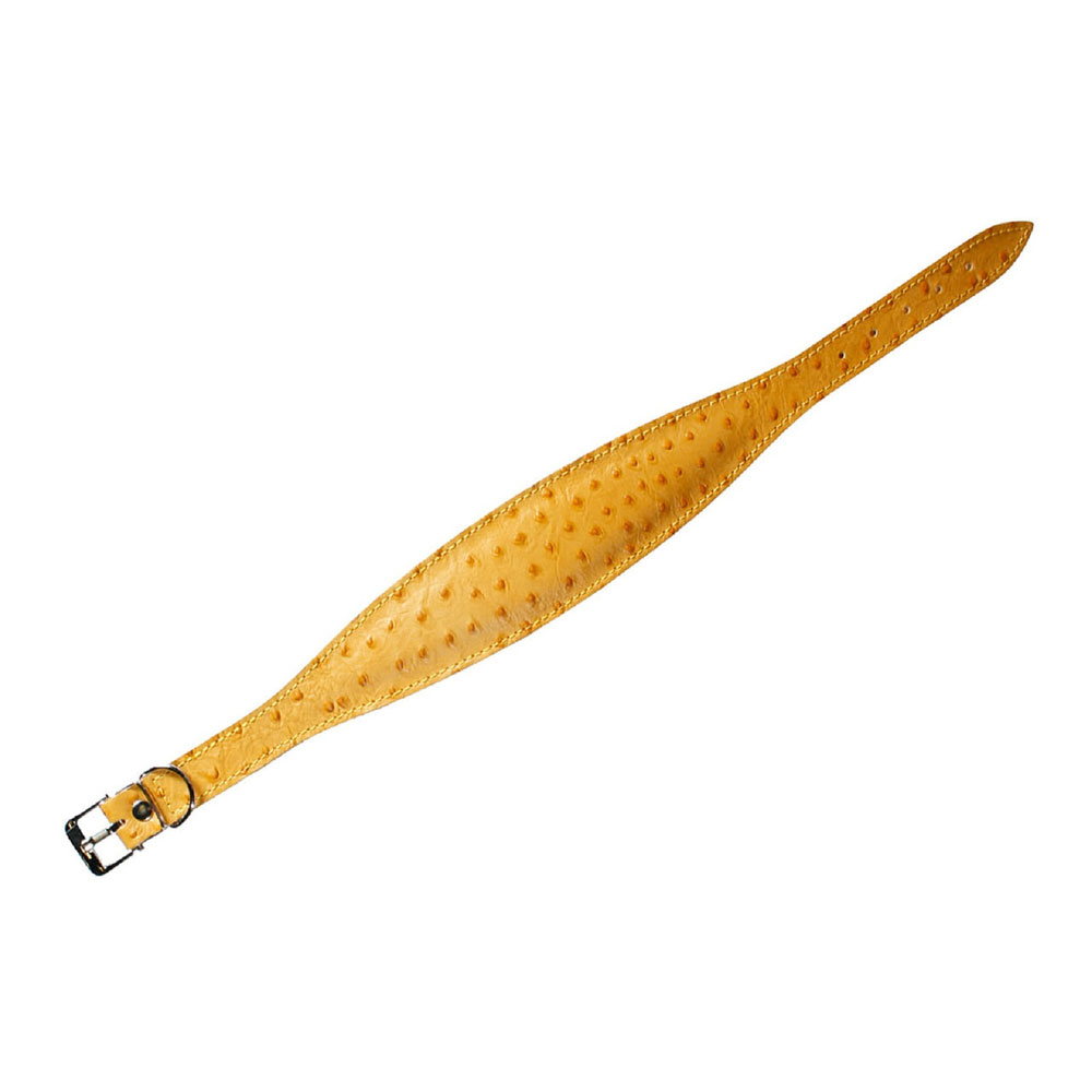 Karlie Windhund-Halsband Ventus - 55cm / Gelb Karlie Windhund-Halsband Ventus - 55cm / Gelb von Karlie