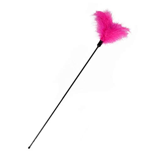 Katzenwedel Tube mit Softfedern L: 45 cm Pink Katzenwedel Tube mit Softfedern L: 45 cm Pink von Karlie