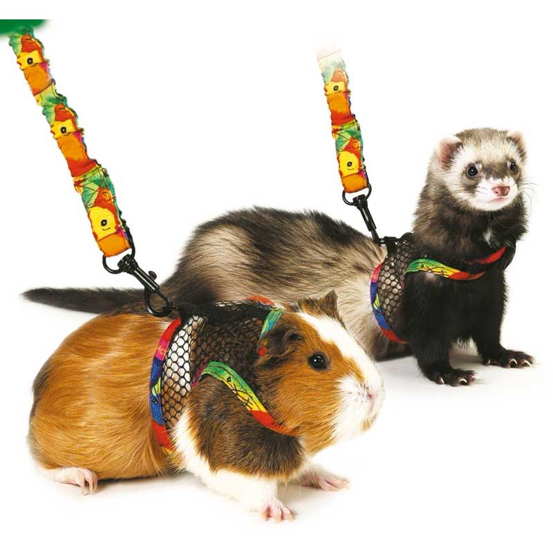 Kleintiergarnitur Comfort-Geschirr Art Joy - Gr.M (Meerschweinchen,... Kleintiergarnitur Comfort-Geschirr Art Joy - Gr.M (Meerschweinchen,... von Karlie