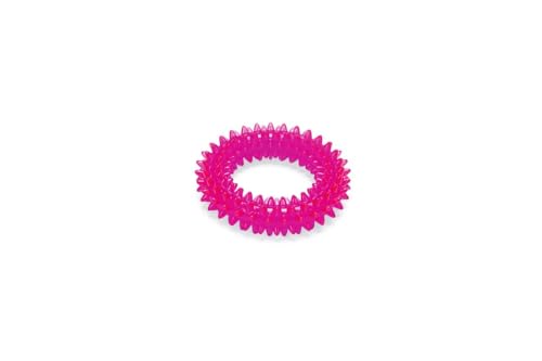 good4fun IGELRING TPR Ø 9cm #48692 good4fun IGELRING TPR Ø 9cm #48692 von Karlie