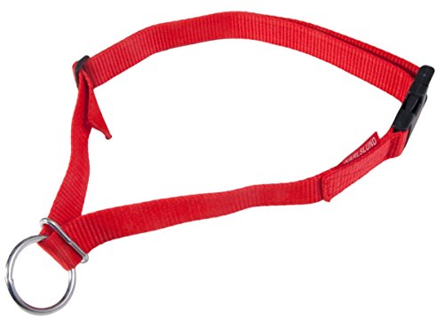 Karlslund Halsband Neckband, Red, k314 Karlslund Halsband Neckband, Red, k314 von Karlslund