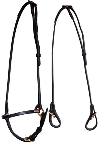 Karlslund Trense Classic Bridle, Brown Brass, k307-bro von Karlslund