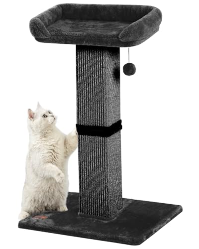 Karolpar 81,3 cm Katzenkratzbaum für Indoor-Katzen, Sisal-Kratzbaum mit Plüsch-Sitzstange, großer Kratzbaum mit Bett, abnehmbarer Bezug, Sisalgewebe, Schwarz Karolpar 81,3 cm Katzenkratzbaum für Indoor-Katzen, Sisal-Kratzbaum mit Plüsch-Sitzstange, großer Kratzbaum mit Bett, abnehmbarer Bezug, Sisalgewebe, Schwarz von Karolpar