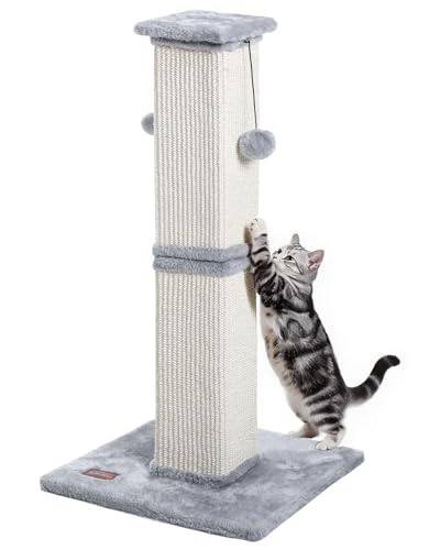 Karolpar Katzenkratzbaum, 84 cm hoch, Katzenkratzbaum für Indoor-Katzen, Erwachsene und Kätzchen, Sisal-Kratzbaum mit hängenden Bällen Karolpar Katzenkratzbaum, 84 cm hoch, Katzenkratzbaum für Indoor-Katzen, Erwachsene und Kätzchen, Sisal-Kratzbaum mit hängenden Bällen von Karolpar