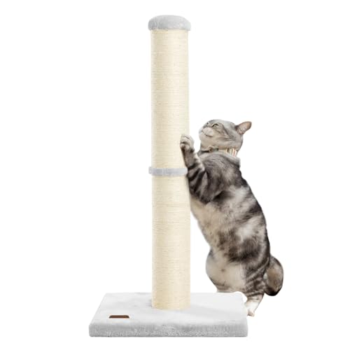 Karolpar Kratzbaum mit natürlichem Sisalseil, 10,9 cm, großer Durchmesser, Kratzbaum für Indoor-Katzen, 86,4 cm, Grau Karolpar Kratzbaum mit natürlichem Sisalseil, 10,9 cm, großer Durchmesser, Kratzbaum für Indoor-Katzen, 86,4 cm, Grau von Karolpar