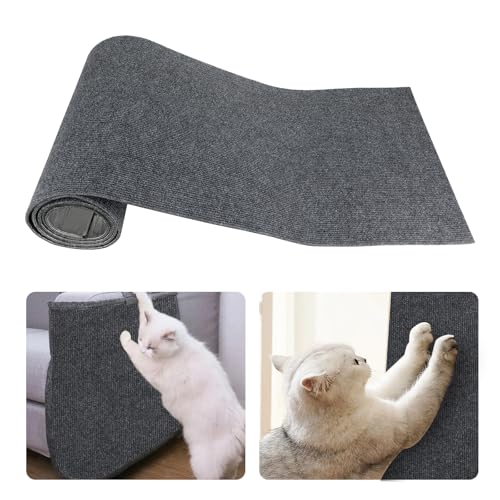 Kasanni 200 cmx40 cm Kratzmatte Selbstklebend Kratzmatte Katze Wand Kratzschutz Sofa Katze Kratzwand FüR Katzen Universeller Katzen Kratzschutz Kratzfeste MöBel, Sofa, Sofa, TüRschutz (Dunkelgrau) Kasanni 200 cmx40 cm Kratzmatte Selbstklebend Kratzmatte Katze Wand Kratzschutz Sofa Katze Kratzwand FüR Katzen Universeller Katzen Kratzschutz Kratzfeste MöBel, Sofa, Sofa, TüRschutz (Dunkelgrau) von Kasanni
