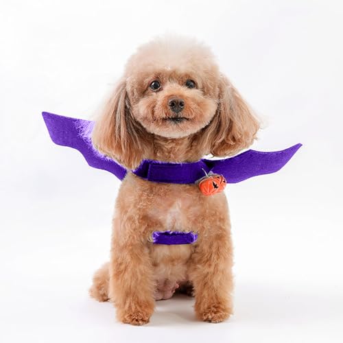 Halloween Fledermaus Kostüm für Katzen, Halloween Cat Costume Pet, Halloween Fledermaus Haustier Kleidung Fledermausflügel Hund Katze Flügel für Halloween Haustier Cosplay Party (Lila, L) von Kashyke