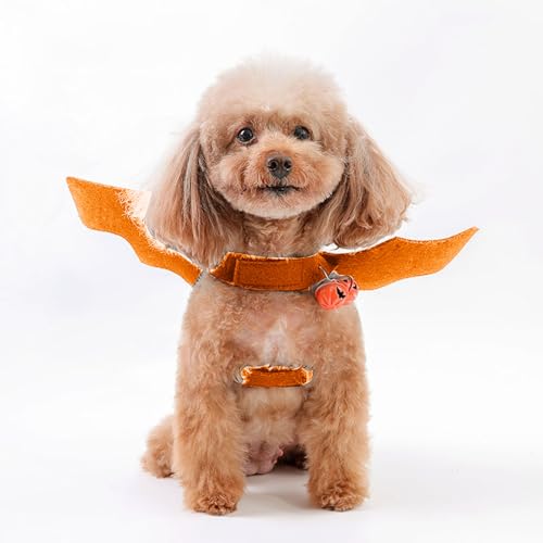 Halloween Fledermaus Kostüm für Katzen, Halloween Cat Costume Pet, Halloween Fledermaus Haustier Kleidung Fledermausflügel Hund Katze Flügel für Halloween Haustier Cosplay Party (Orange, S) von Kashyke