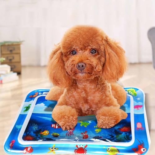 Wassermatte Katze,Wasserspielmatte Katze,Water Sensor Play Mat Cat,Wasserspielmatte Hund,Wasser Katzen Spielmatte,Katzen Wassermatte,Wasser Katzenspielzeug Katzen Wasserspielzeug (D-58 * 48cm) von Kashyke