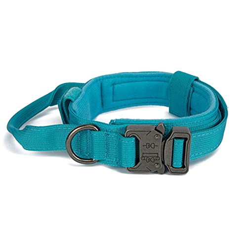 Kasituny Haustier Halskette Hohe Zähigkeit Verstellbares Hundehalsband Bequem Kompatibel mit Walking Cyan M von Kasituny