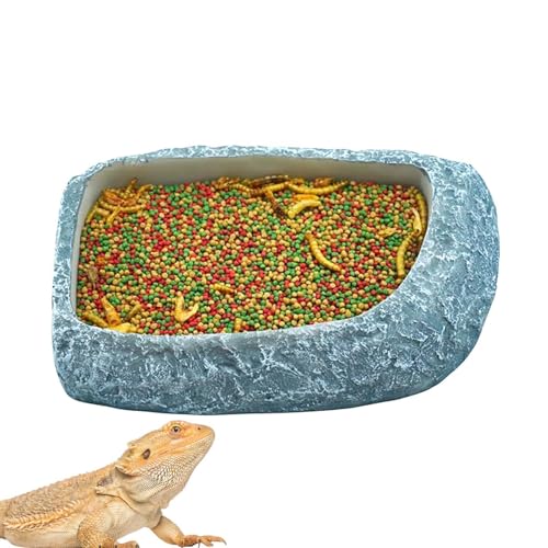 Bärtige Drachenwasserschale, Schildkröte Wasserschale | Reptilienfutter Fütterungsgericht Terrarium | Flache naturalistische Eckfutterlein für bärtige Drache, Baumpfleger, Tropen, von Kasmole